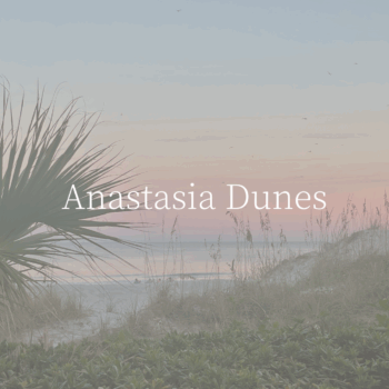 Build with Riverside Homes Custom in Anastasia Dunes