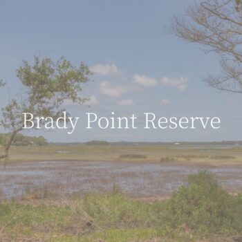 Build with Riverside Homes Custom in Brady Point Reserve